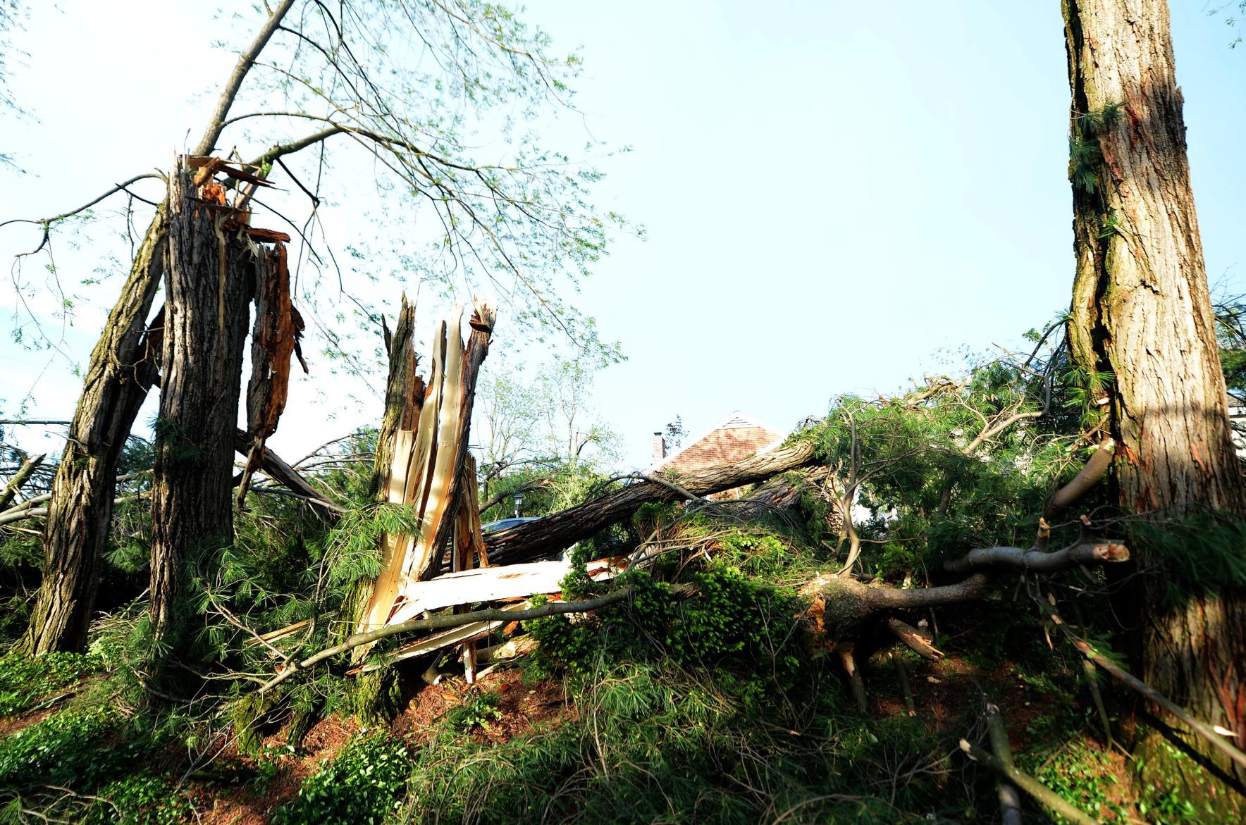 Storm Damage